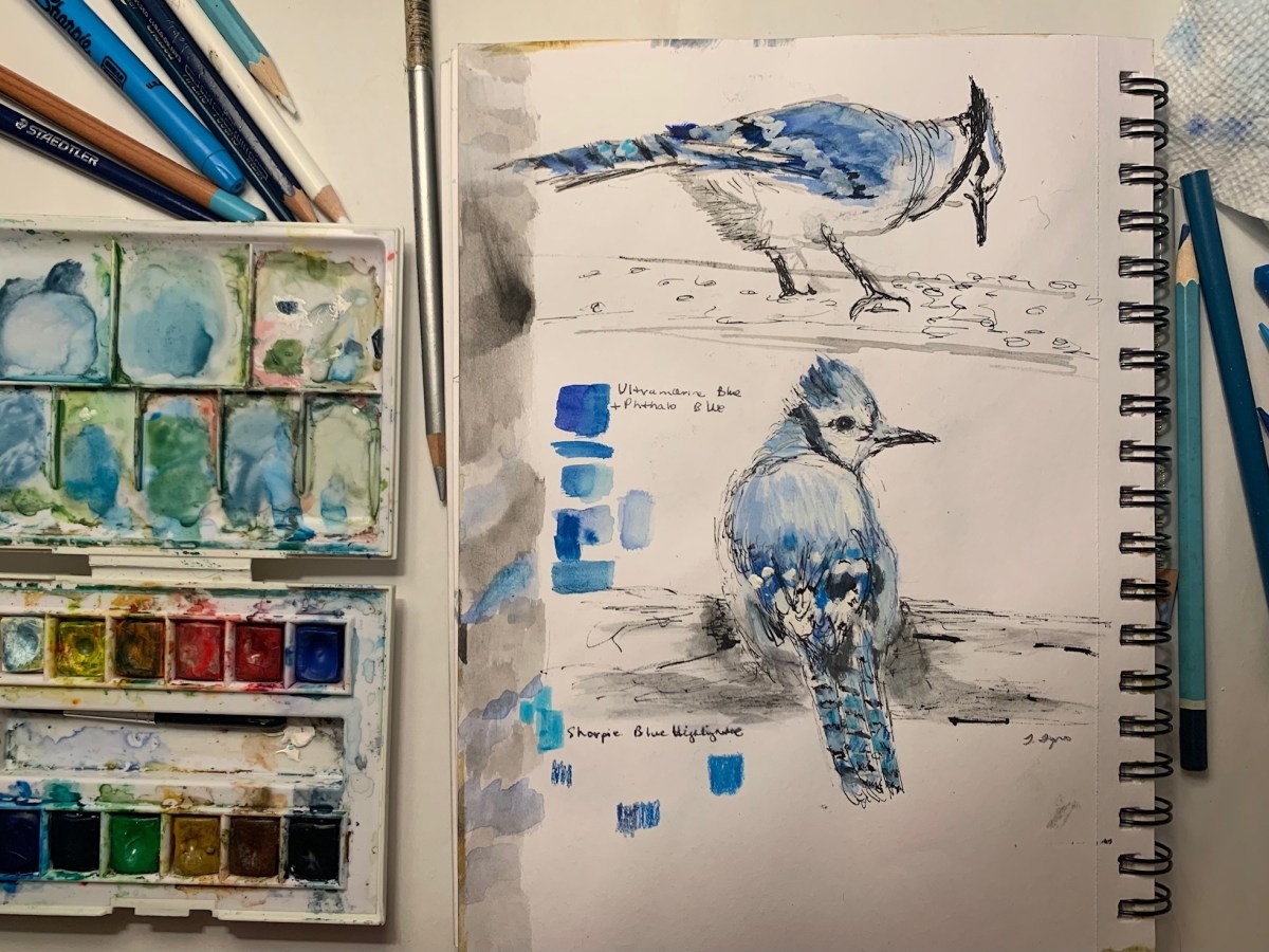 The Blues of Blue&nbsp;Jays