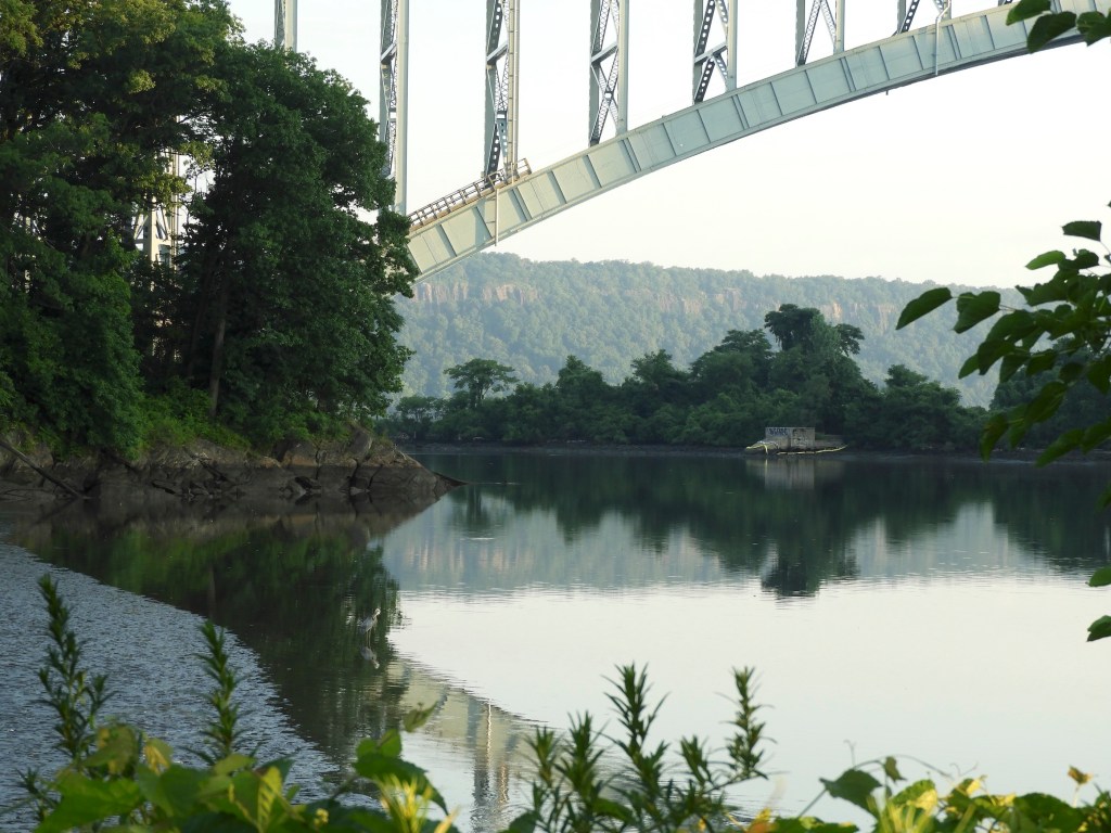 Early Morning Birdwatching in the Heat of&nbsp;Summer